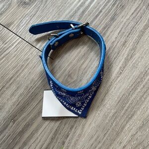 *Free with purchase!* Small Dog or Cat Collar